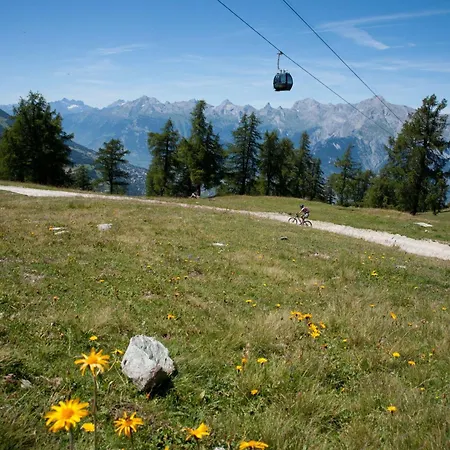 Tschoueilles 013 Mountain & View - 12 Pers Veysonnaz